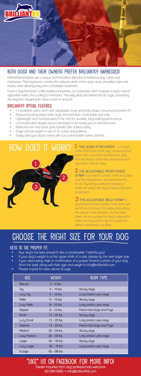brilliantK9_brochure_webversion